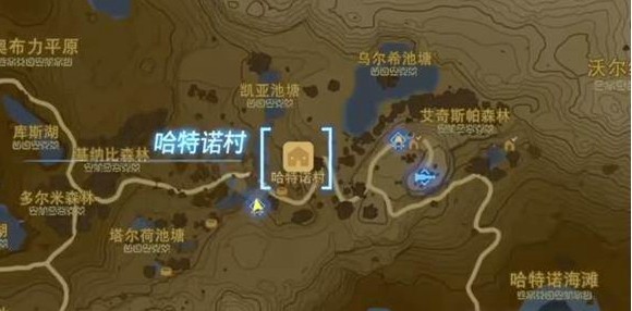 塞尔达传说王国之泪8个蘑菇给谁-塞尔达传说王国之泪8个蘑菇送人攻略