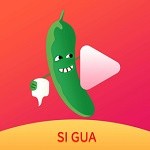 黄品汇在线下载安装