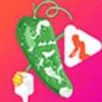金莲直播apk