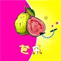 黄金软件app大全免费下载2025