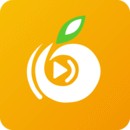 字母极乐园apk