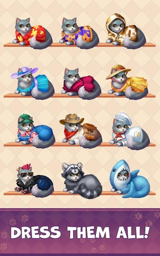 不好了猫1